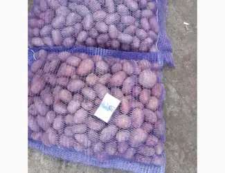 Зображення для оголошення Продам насіннєву картоплю оптом