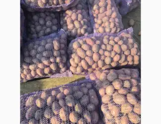 Зображення для оголошення Продам семенной картофель