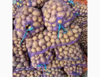 Зображення для оголошення Продам семенной картофель Аризона и Ривьера
