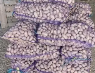 Зображення для оголошення Насіннєва картопля Гранада 1-2 репродукція