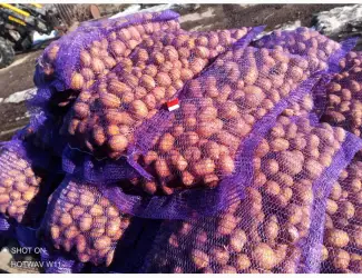 Зображення для оголошення Картофель посадочный Колумба аризона