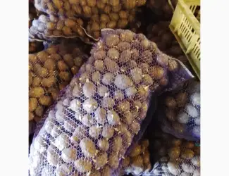 Зображення для оголошення Продам картоплю посадкову