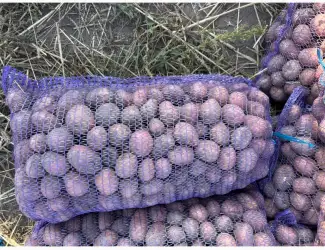 Зображення для оголошення Продам посадкову картоплю