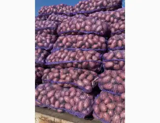 Зображення для оголошення ПРОДАМ картофель