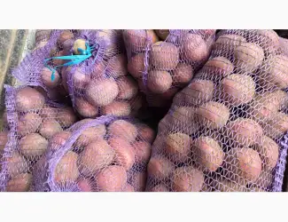 Зображення для оголошення Куплю картоплю