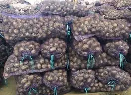 Зображення для оголошення Куплю сертифіковану насіннєву картоплю для посадки / Семенной картофель для фермеров