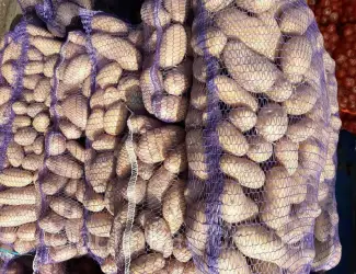Зображення для оголошення Продам Картофель Оптом цена 5 грн. 40 тонн