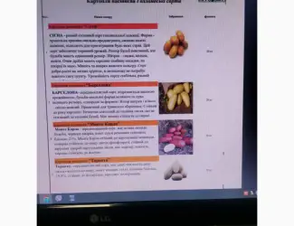 Зображення для оголошення Продам насіневу картоплю нідерландської селекції