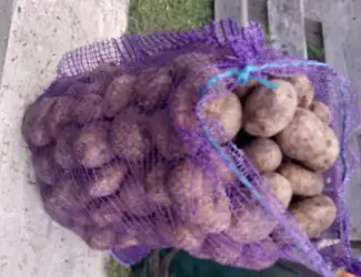 Зображення для оголошення Продам картоплю