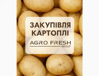 Зображення для оголошення Надійне партнерство в закупівлі картоплі