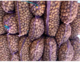 Зображення для оголошення Продам насіннєву картоплю різних сортів