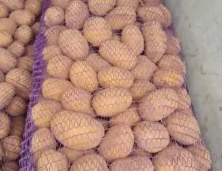 Зображення для оголошення Куплю картошку товарную