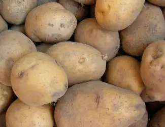 Зображення для оголошення Продаж оптової картоплі 2 сорт