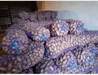 Зображення для оголошення Продам картоплю посадкову