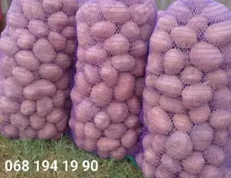 Зображення для оголошення Продам товарну картоплю