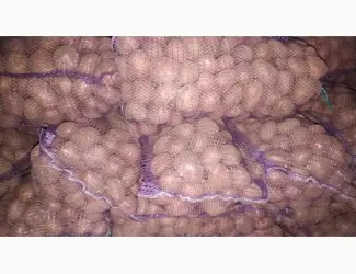 Зображення для оголошення Продам посадочный картофель ручной переборки: коломбо
