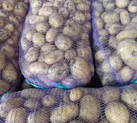 Зображення для оголошення Продам товарну картоплю сорту Арізона