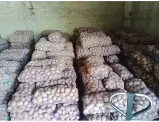 Зображення для оголошення Продам картоплю велику і насіневу кого цікавить телефонуйте