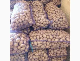 Зображення для оголошення Продам картоплю
