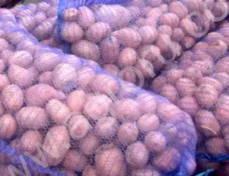 Зображення для оголошення Продам посадковий картофель