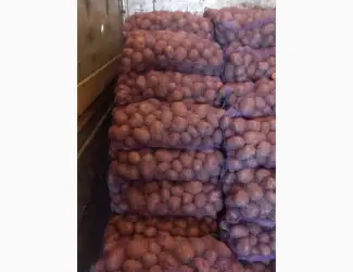 Зображення для оголошення Продам товарну картоплю в обьємі Біла Роса