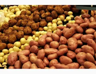 Зображення для оголошення Куплю картоплюю