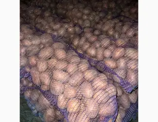 Зображення для оголошення Продається борщ набір по хорошим цінам