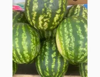Зображення для оголошення Продам кавун