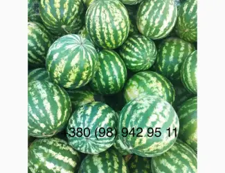 Зображення для оголошення Продам кавун