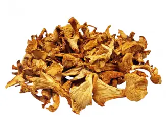 Зображення для оголошення Лисичка (Cantharellus cibarius) сушена