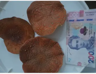 Зображення для оголошення Шапочки мухомора