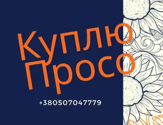 Зображення для оголошення Просо купуємо ваше