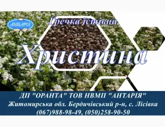 Зображення для оголошення Насіння гречки Христина (БН