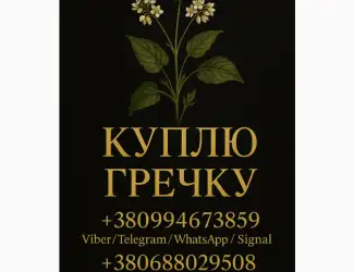 Зображення для оголошення Куплю гречіху ! Дорого