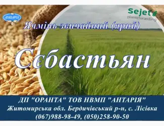Зображення для оголошення Насіння ярого ячменю Сєбастьян