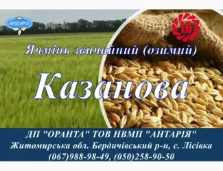 Зображення для оголошення Насіння озимого ячменю Казанова (СН
