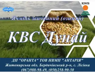 Зображення для оголошення Насіння озимого ячиеню КВС Дунай (СН