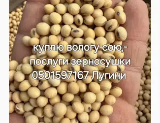 Зображення для оголошення Куплю вологу кукурудзу сою