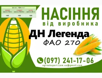 Зображення для оголошення Насіння кукурудзи 2025 - гібрид ДН Легенда (ФАО 270) від виробника