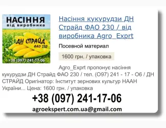 Зображення для оголошення Купити Насіння Кукурудзи ДН Страйд Посівмат на 2026 від виробника
