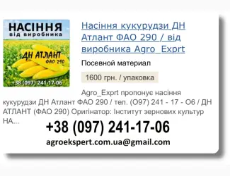 Зображення для оголошення Купити Насіння Кукурудзи ДН Атлант Посівмат на 2026 від виробника