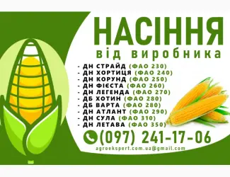 Зображення для оголошення Високоякісне насіння кукурудзи від виробника N1 у Харківській області