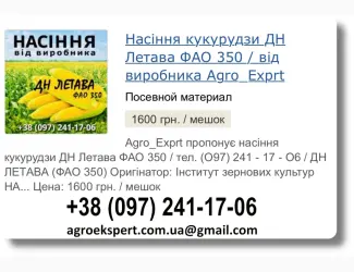 Зображення для оголошення Купити Насіння Кукурудзи ДН Летава Посівмат на 2026 від виробника