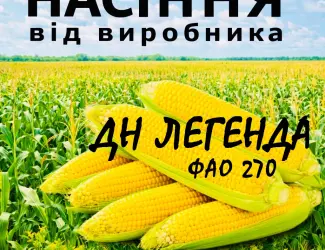 Зображення для оголошення Насіння кукурудзи ДН Легенда ФАО 270 / від виробника Agro_Exprt