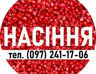 Зображення для оголошення Високоякісне насіння кукурудзи від Виробника! Перекупів багато - Виробник один