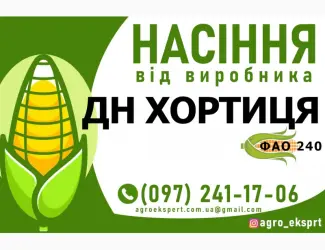 Зображення для оголошення Гібрид кукурудзи ДН Хортиця (ФАО 240). Насіння від виробника