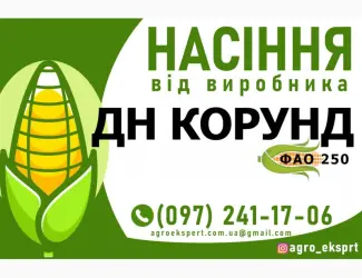 Зображення для оголошення Гібрид кукурудзи ДН Корунд (ФАО 250). Насіння від виробника