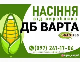 Зображення для оголошення Гібрид кукурудзи ДБ Варта (ФАО 280). Насіння від виробника