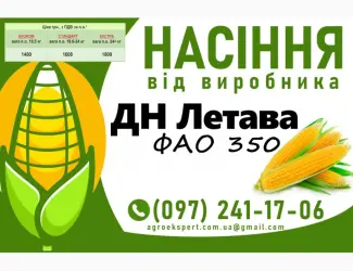 Зображення для оголошення Насіння кукурудзи 2025 - гібрид ДН Летава (ФАО 350) від виробника