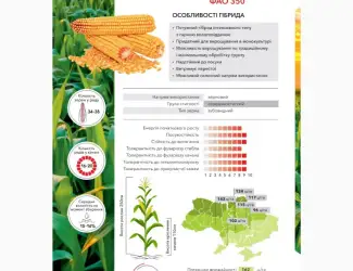 Зображення для оголошення Кукурудза Андрес фао 350